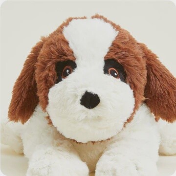 St Bernard Warmie
