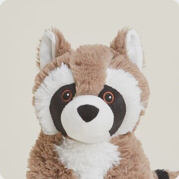 Raccoon Warmie