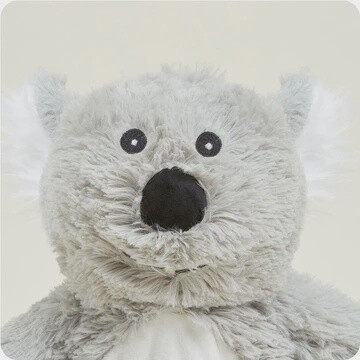 Koala Warmie