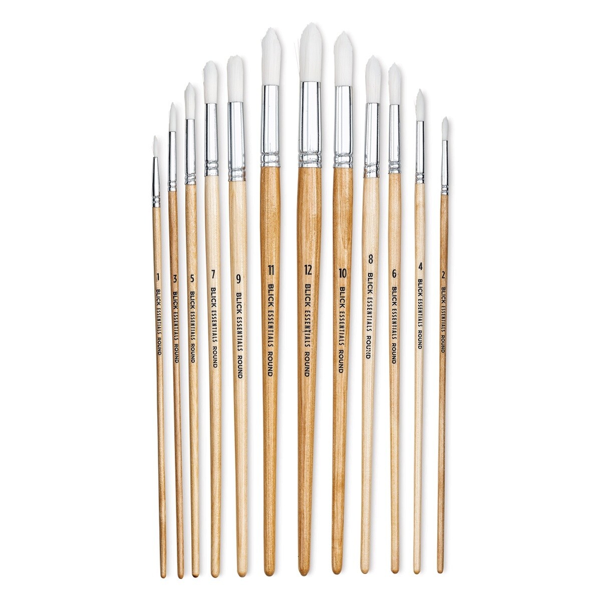 Paint Brush Set of 12