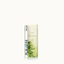 Eucalyptus Cologne