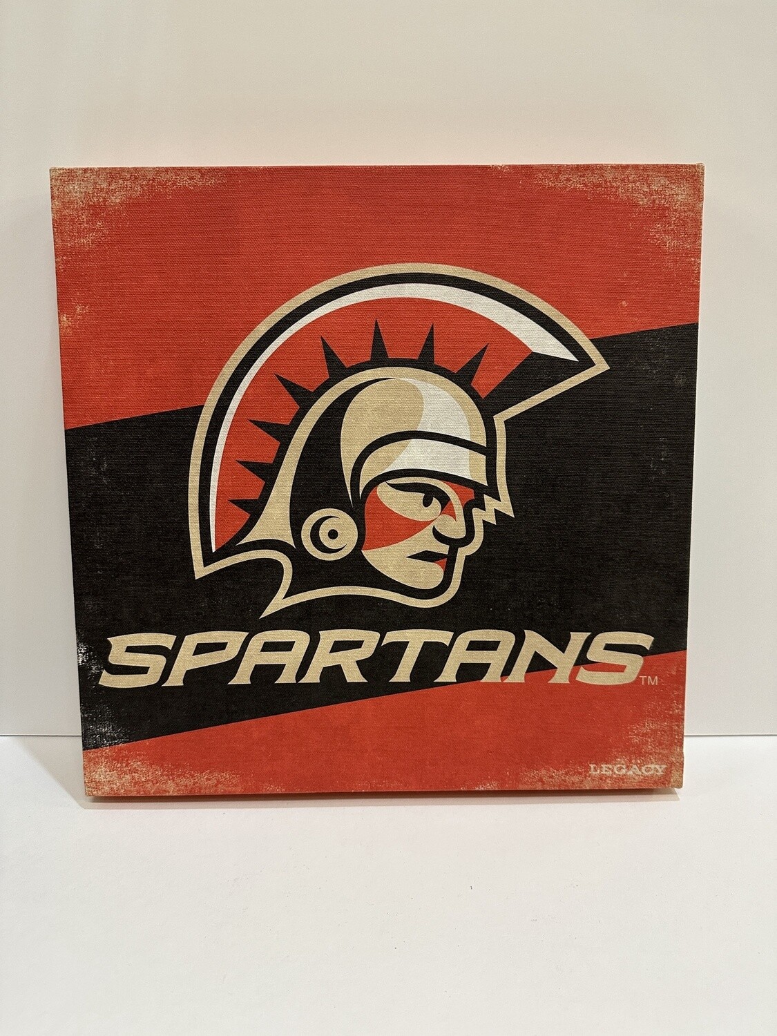 Spartan Canvas Wall Art