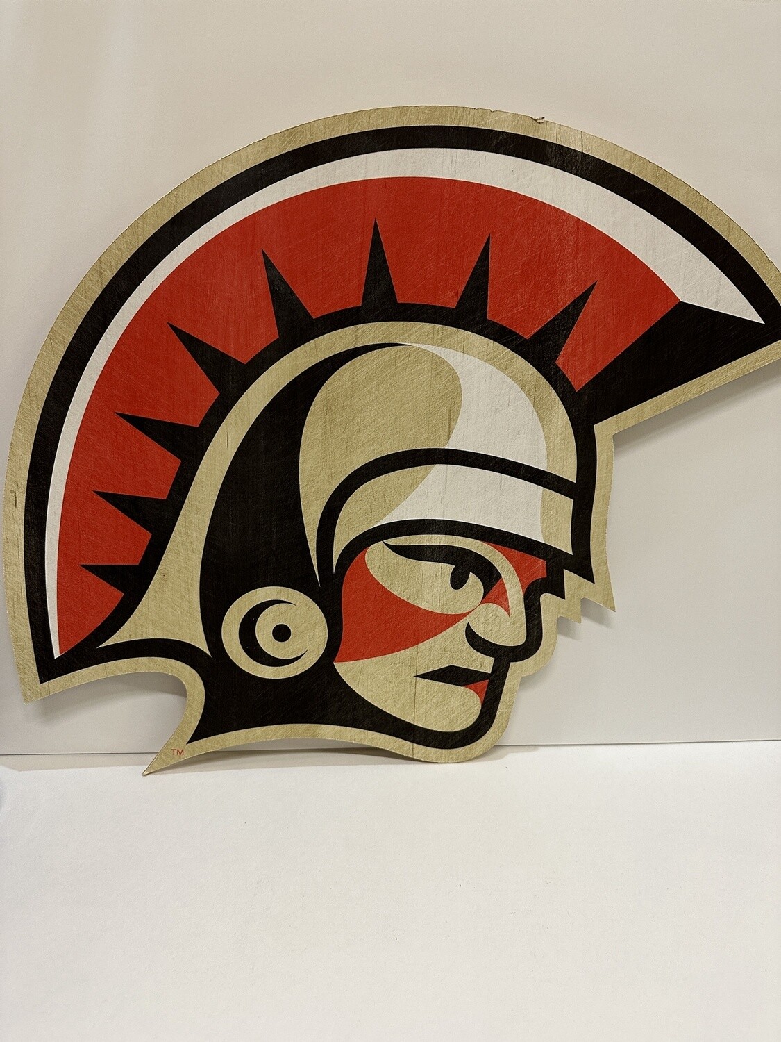 Spartans True Fan Wall Art