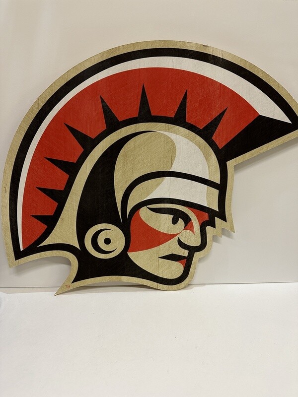 Spartans True Fan Wall Art