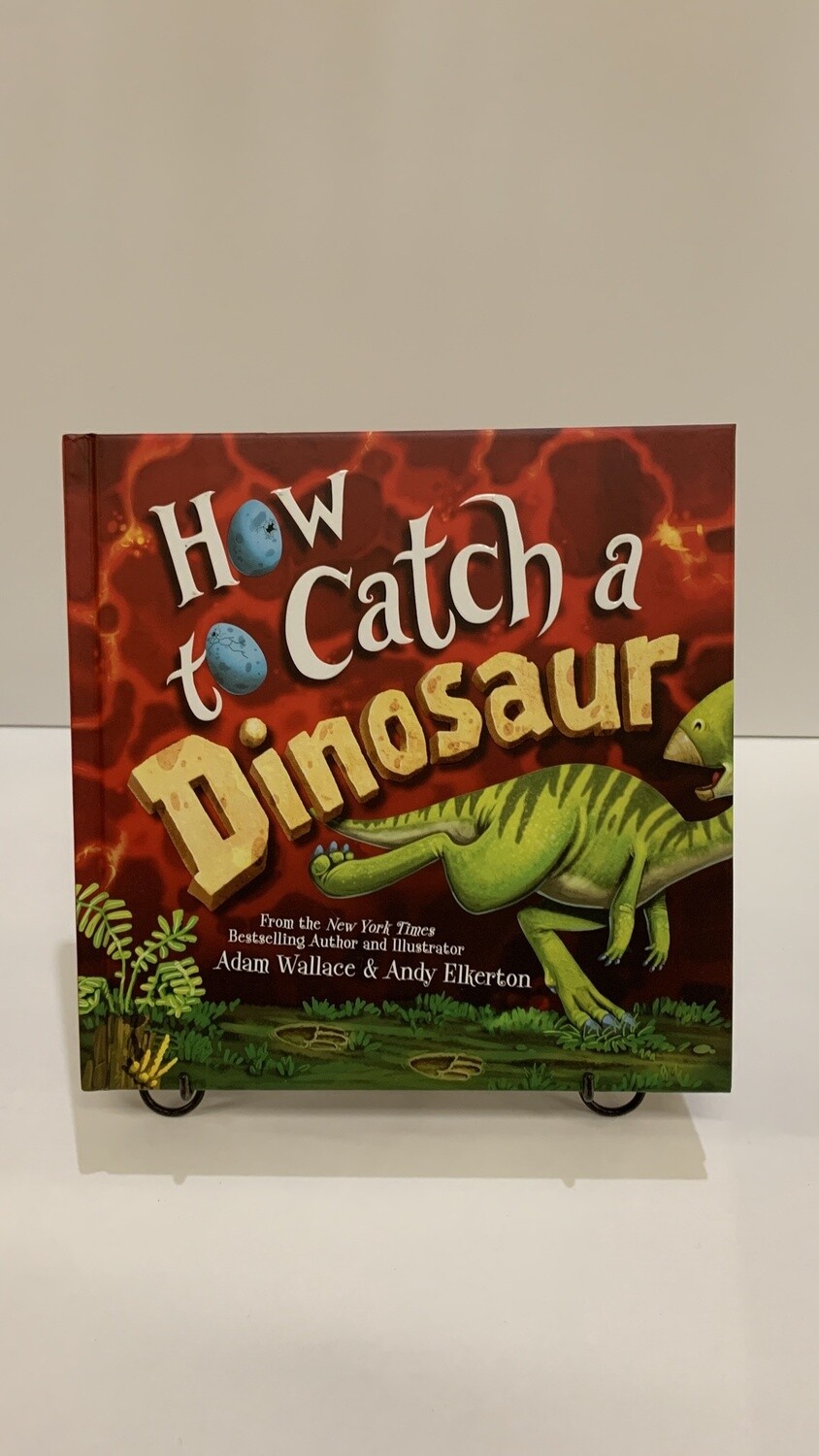 How to catch a Dinosaur 9781492680529