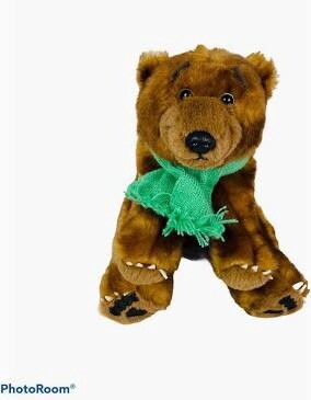 Going on a Bear Hunt Plush Sm