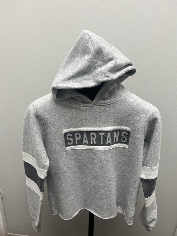 Spartans Stripe Sleeve Hoodie 22MVIP