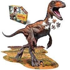 I Am Raptor, 100 Pieces