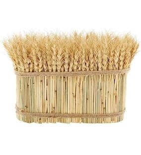 Wheat Bundle Bunch