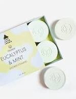 Eucalyptus &amp; Mint Shower Steamers