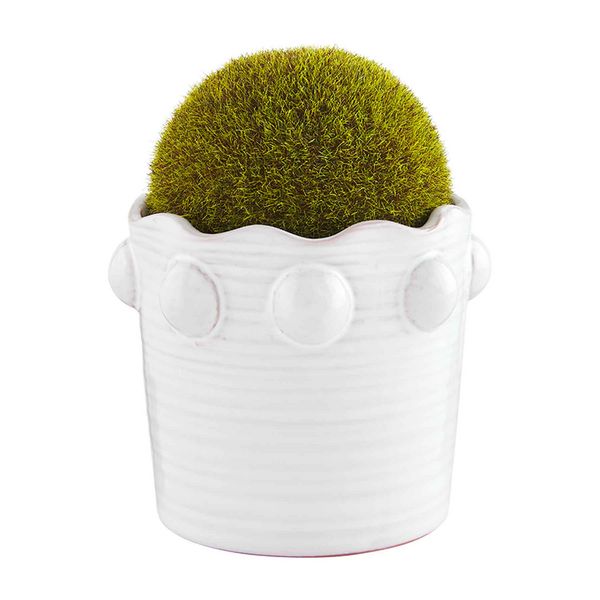 Beaded Moss Pot, Large