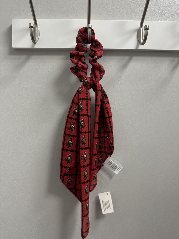 Spartans Scarf Scrunchie 23esss
