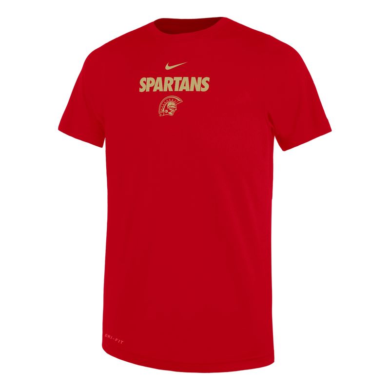 Nike Preschool Legend T-shirt 24NPLT