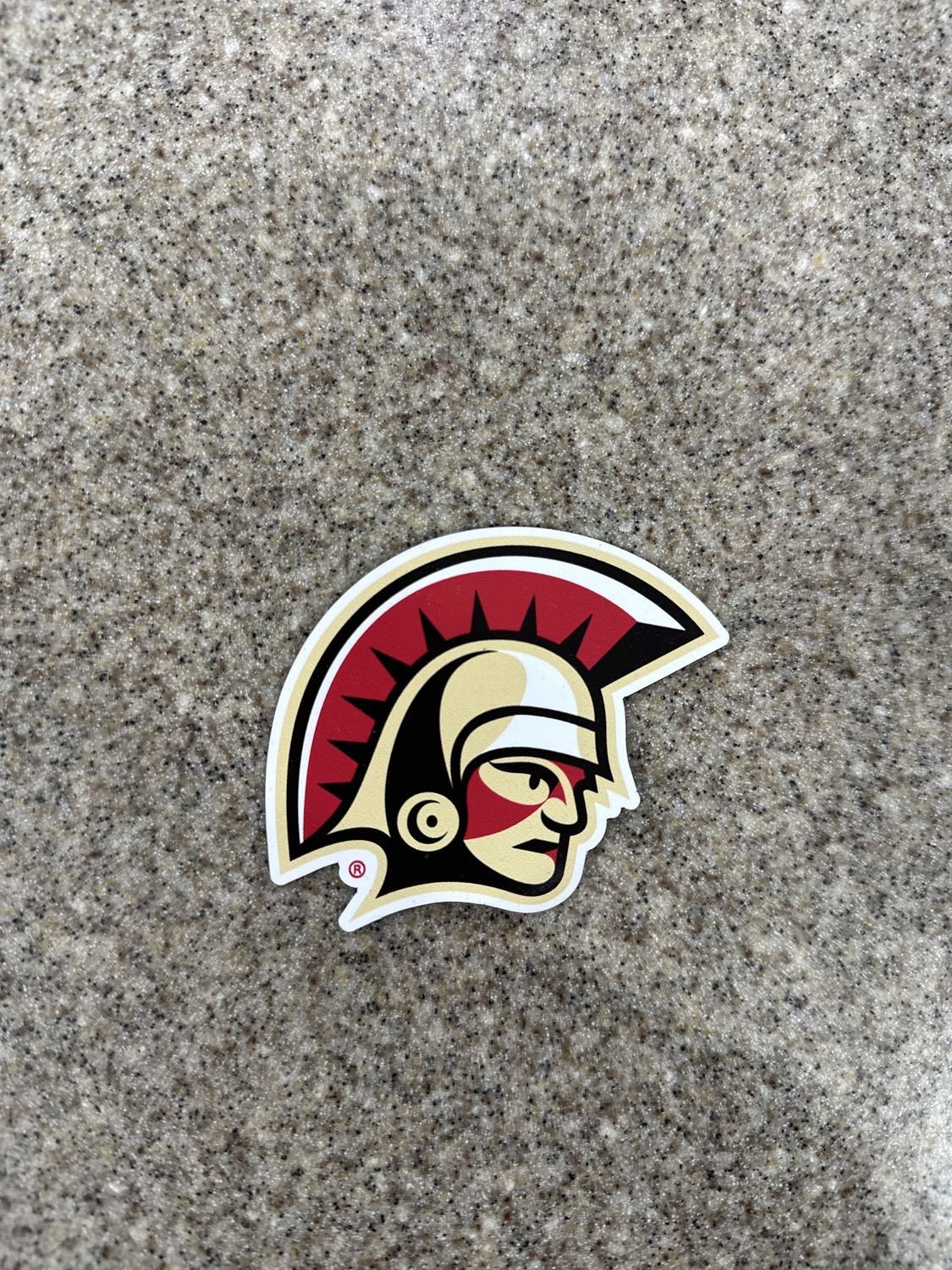 Spartan Temporary  tattoo 24SMSTT