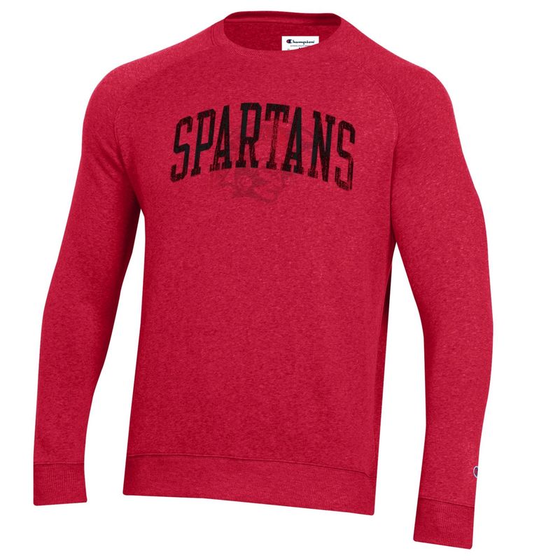 Champion Triumph Fleece Raglan Crew 24CTFRC