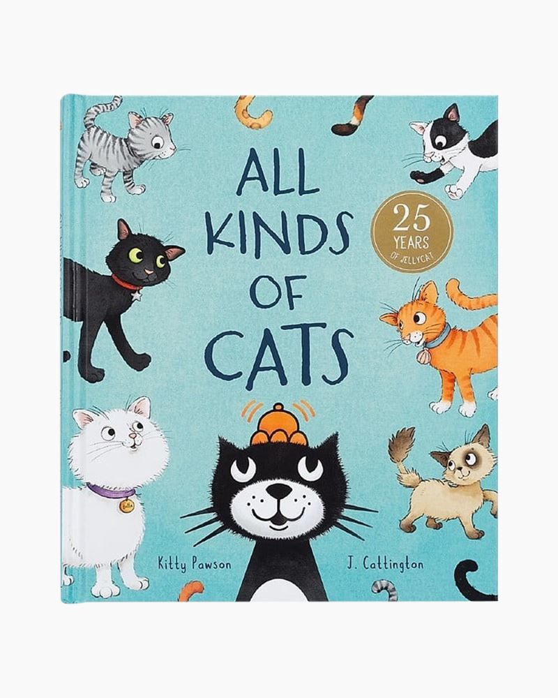 All Kinds of Cats Book