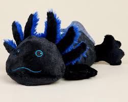 Black Axoloti Warmie