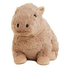 Capybara Warmie