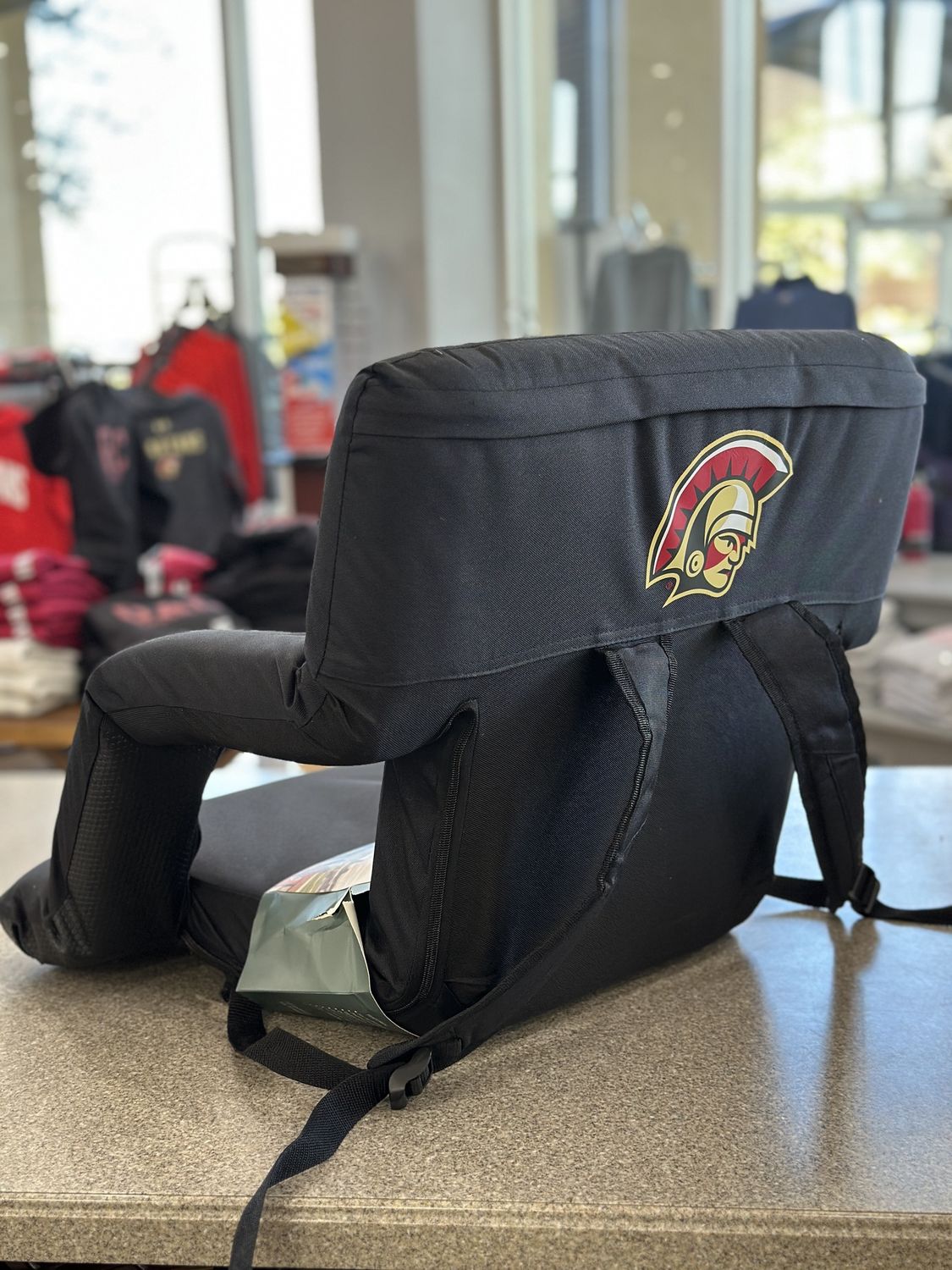 Deluxe Stadium Chair