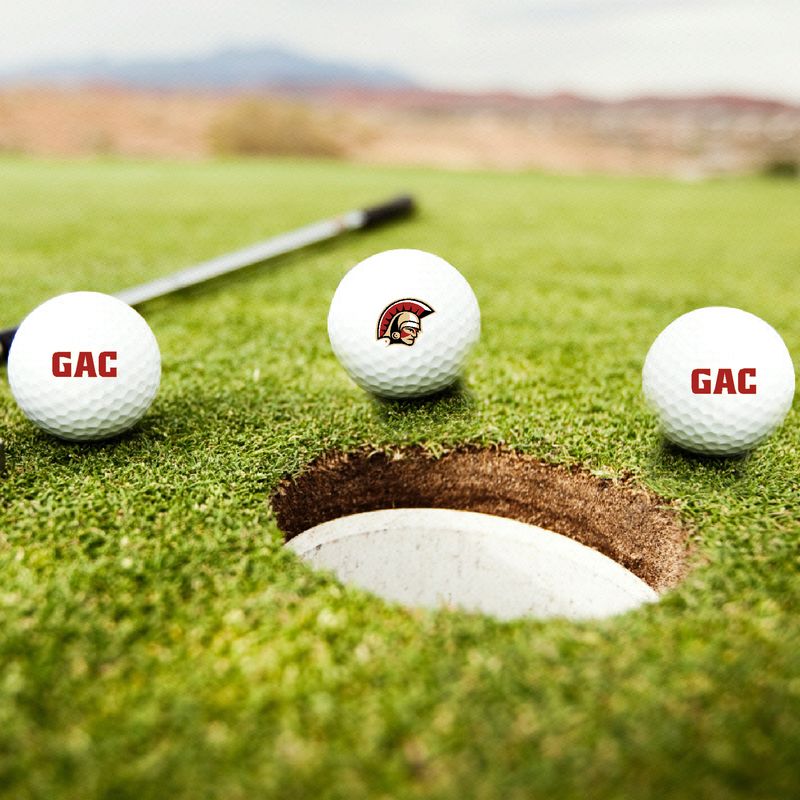 GAC Golf Balls- 3 pack