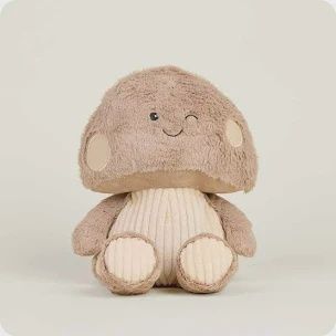 Brown Toadstool