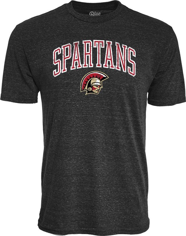 Men&#39;s Triblend Tee B8425