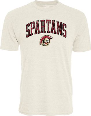 Men&#39;s Triblend Tee B8425