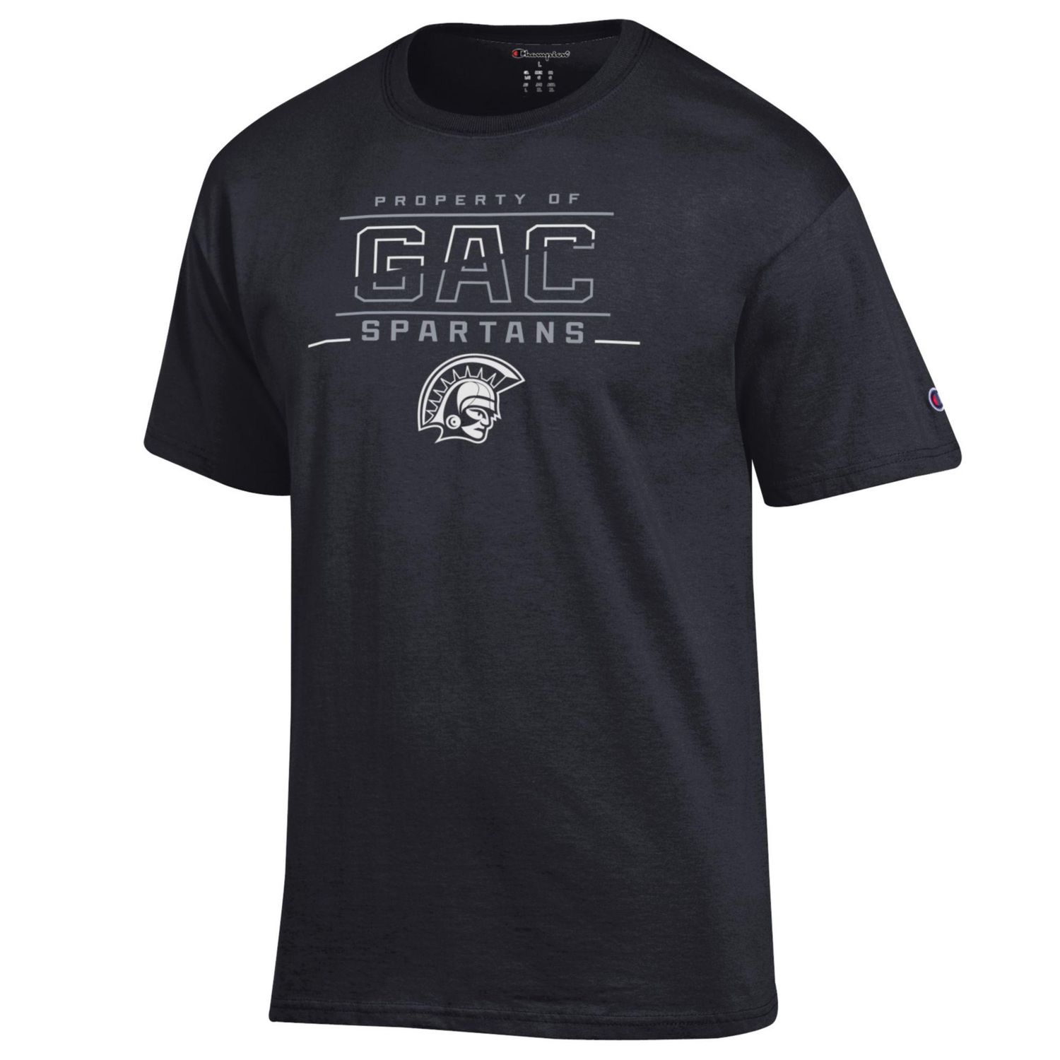 Champion Jersey Short Sleeve T-shirt 25, Color: Black, Size: AS