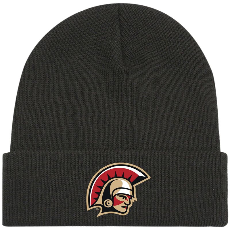 Cuff Beanie 25