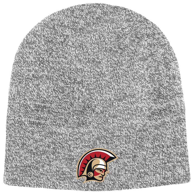 No Cuff Beanie 25