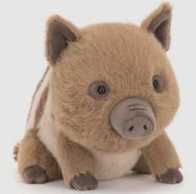 Swinley Boar