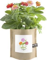Garden In A Bag