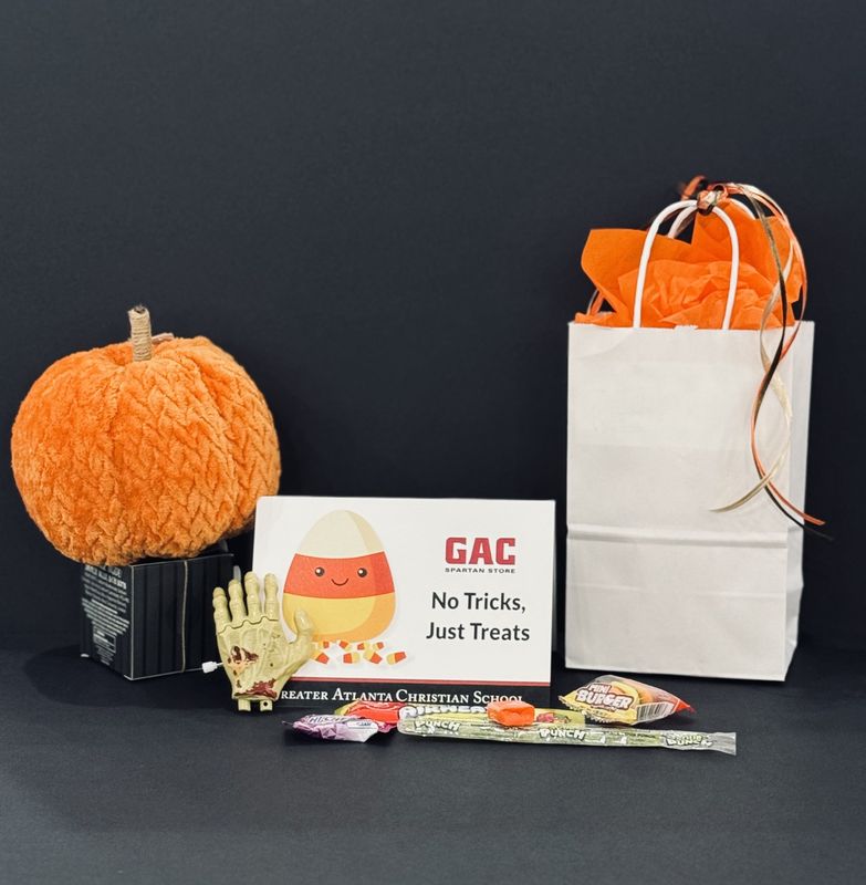 Halloween Wind Up Toy