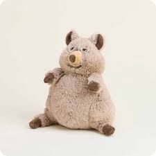 Quokka