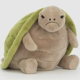 Timmy Turtle