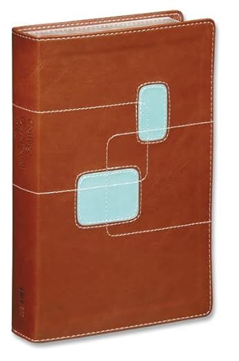 College Devotional Bible