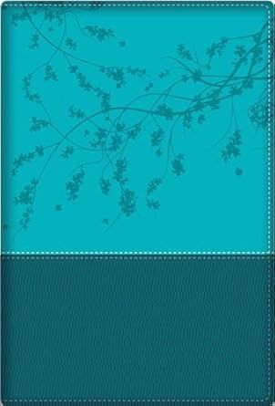 A Woman after God&#39;s own heart Bible