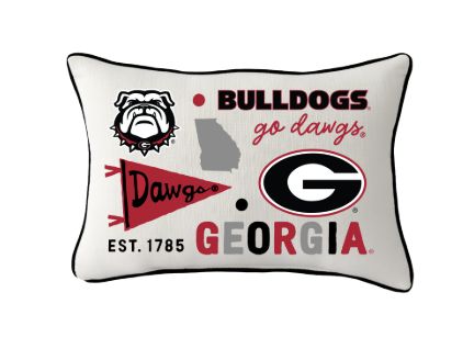 Collegiate Pillow with Piping