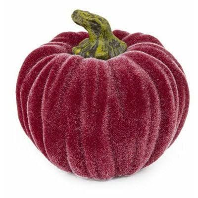 Velvet Burgundy Pumpkin, Small