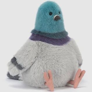 Strutton Pigeon