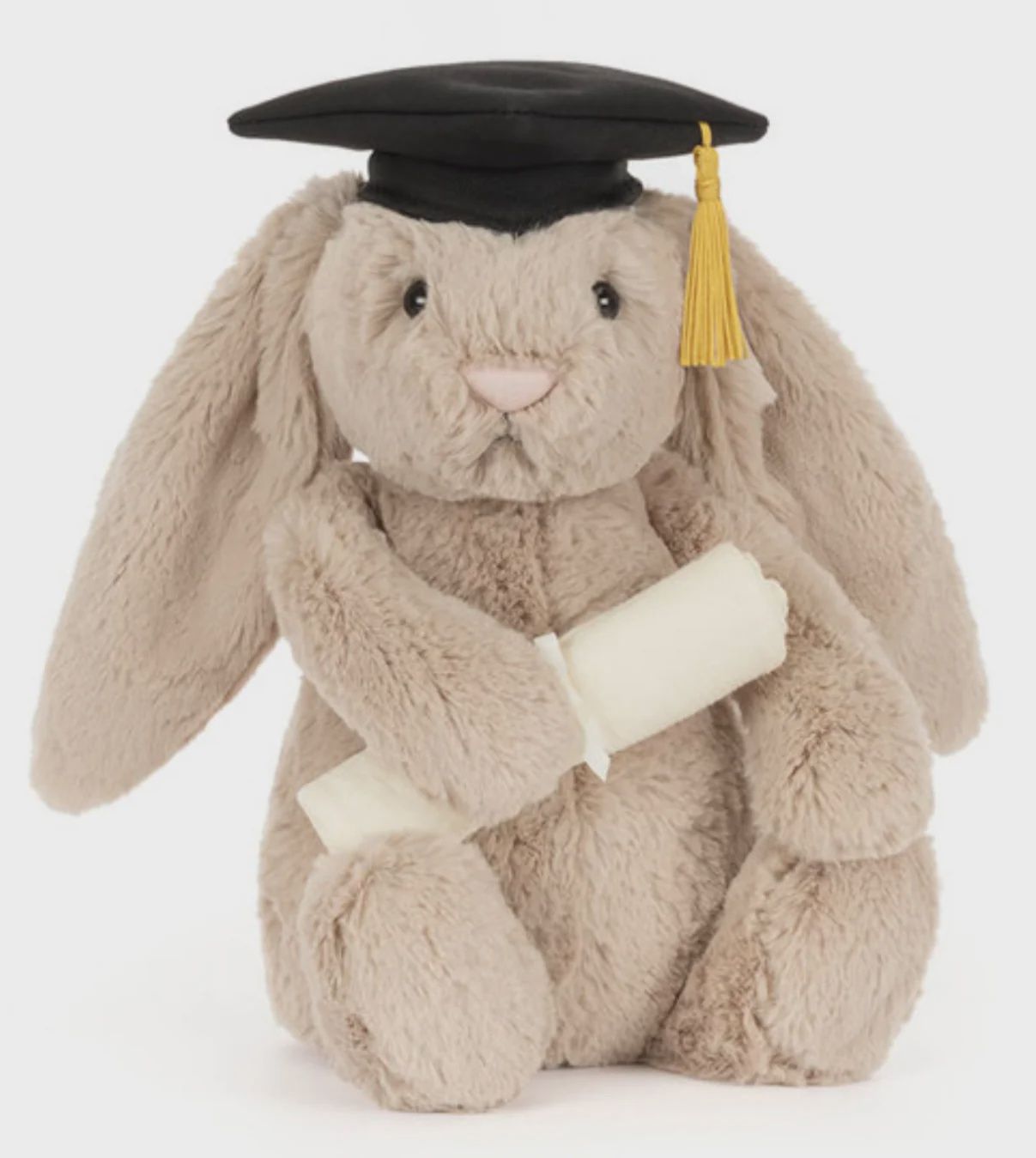 Bashful Bunny Graduation