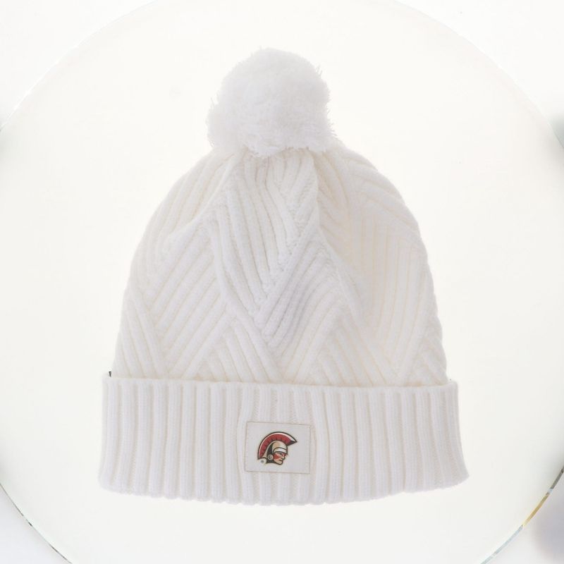 Bridger Textured Cuff Beanie 26