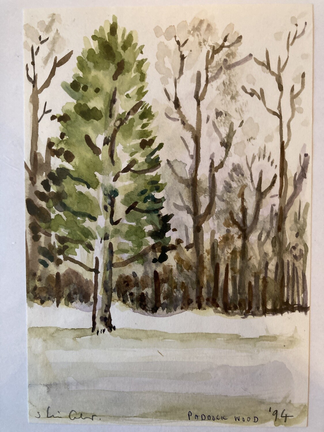 ORIGINAL-PADDOCK WOOD CANADA 1994