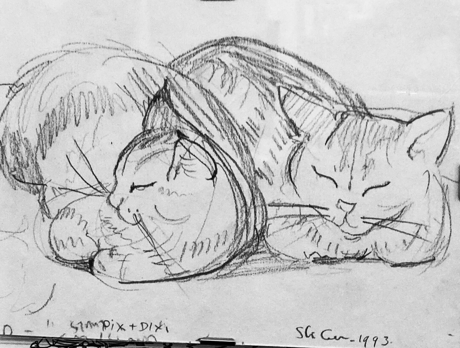 PRINT-PIXI &amp; DIXI asleep 1993