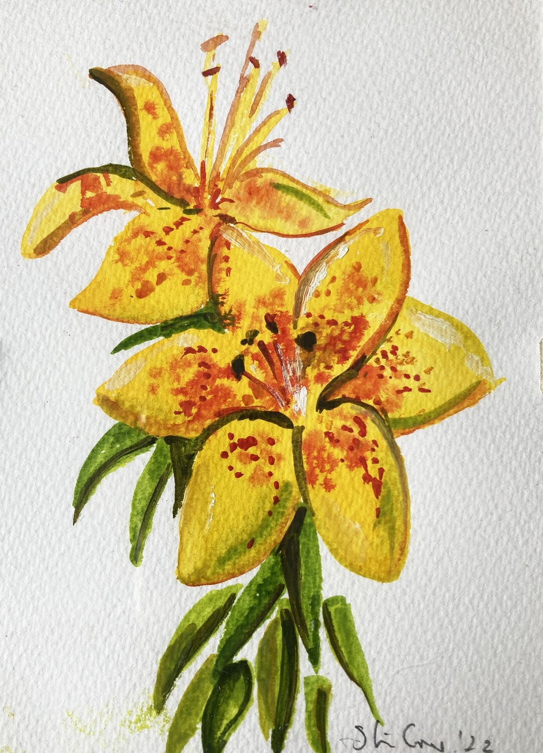 PRINT-TIGER LILIES &amp; SPOTS 2022