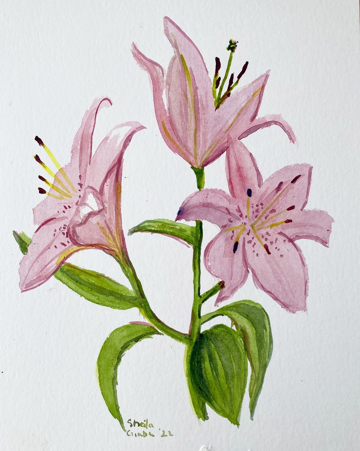 PRINT-LILIES 4 - 2022