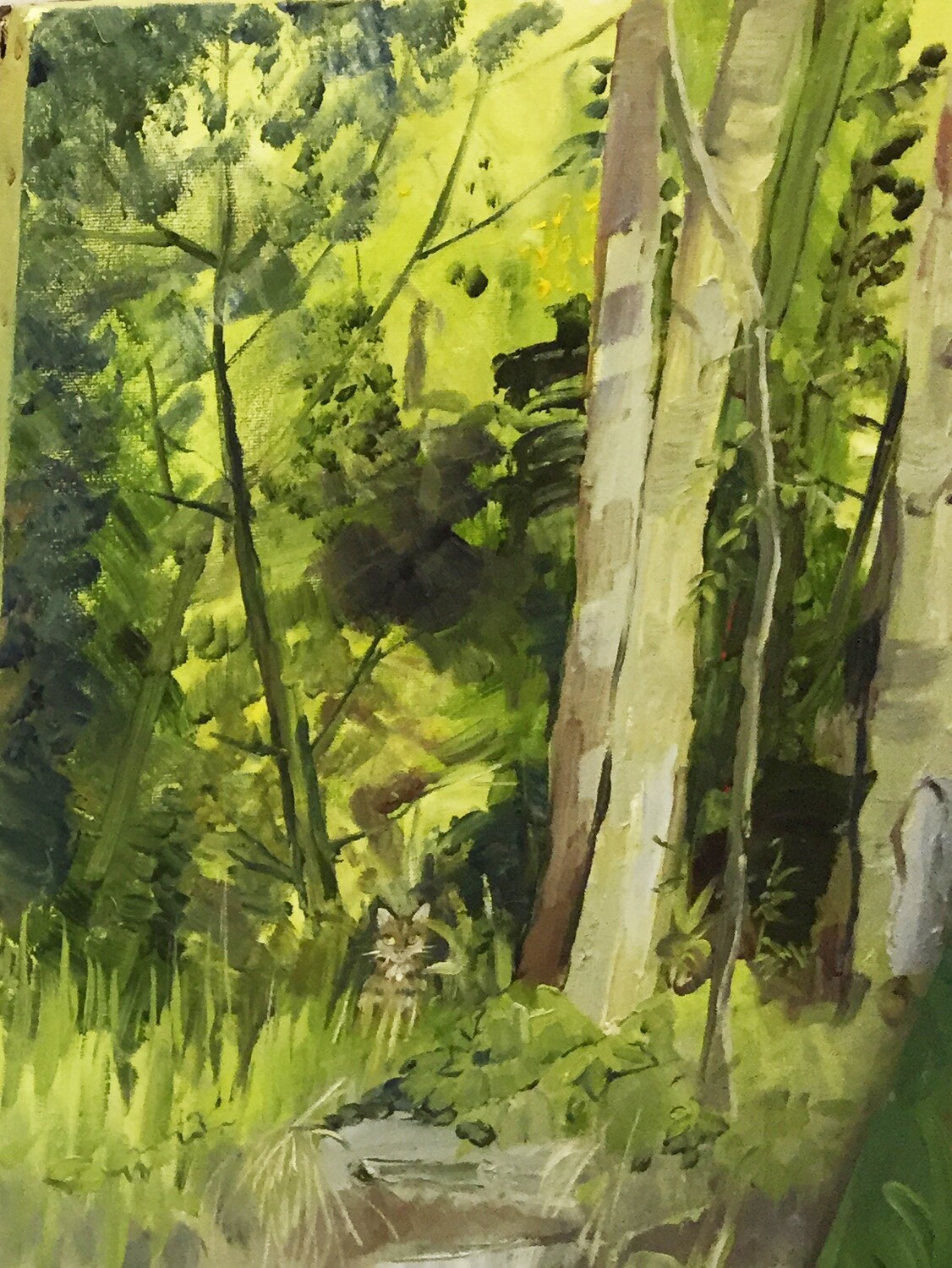 PRINT- DIXI HIDING IN IRISH TREES- 2008