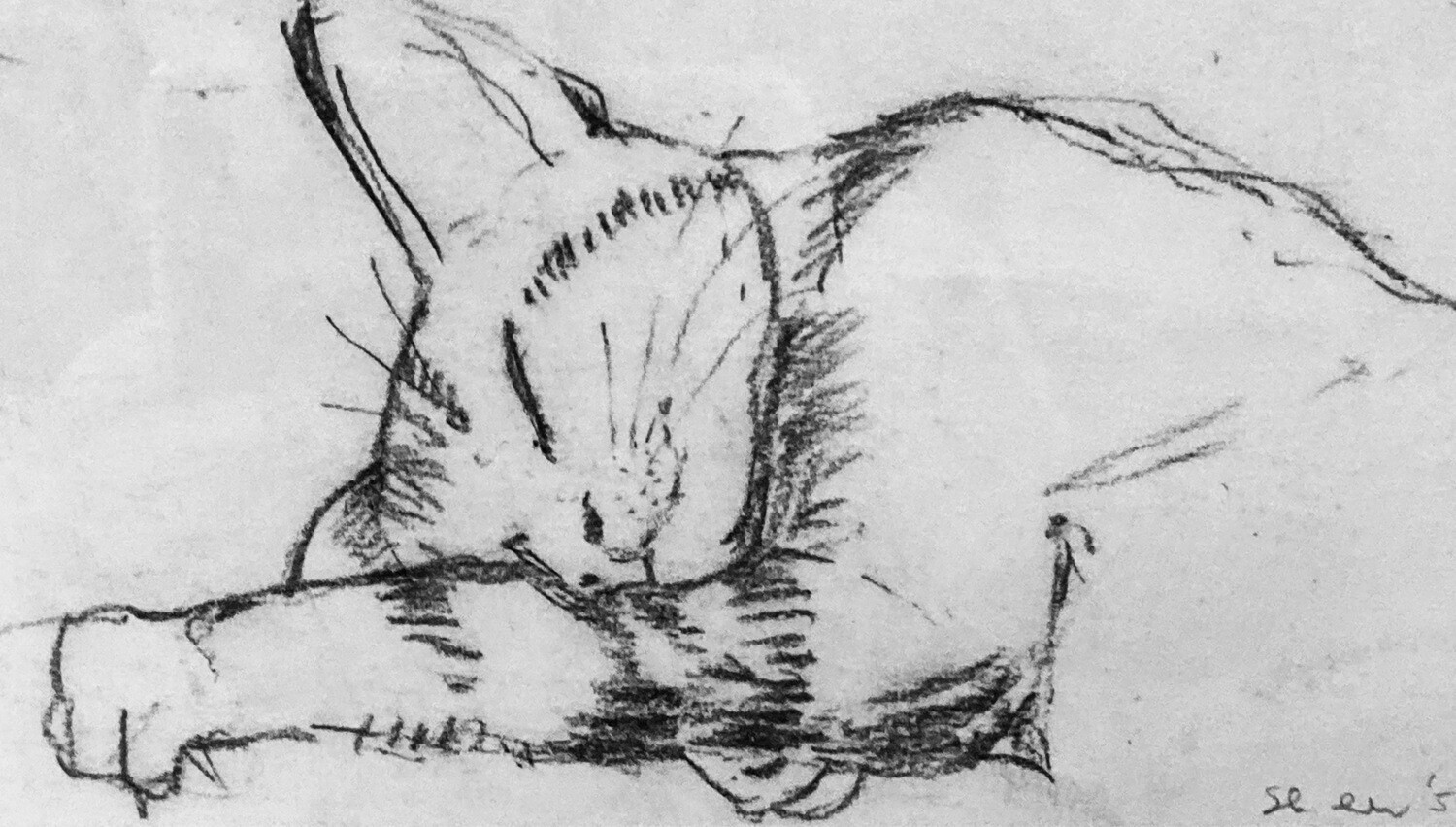 PRINT-TARZAN ASLEEP 1957