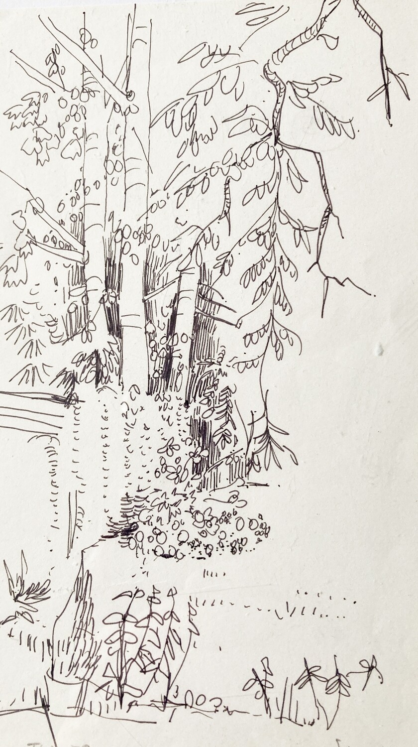 PRINT- TORONTO SILVER BIRCH