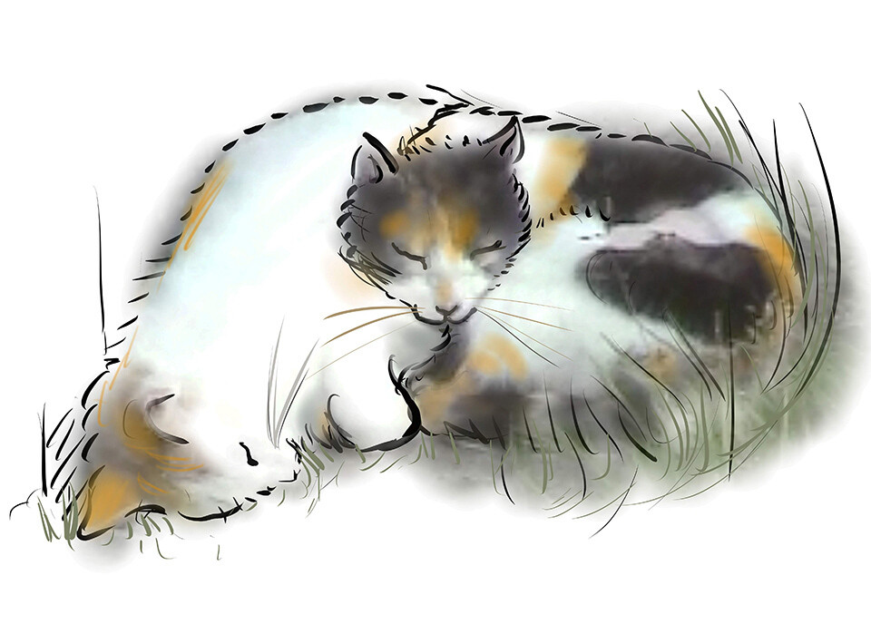 PRINT- TIP and MAM SALLY ASLEEP